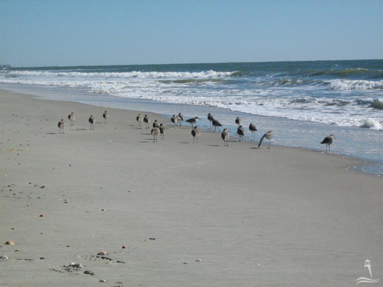 2918 Seashore Road Southwest Supply, NC 28462 - Photo 2 of 30 Additional Photo