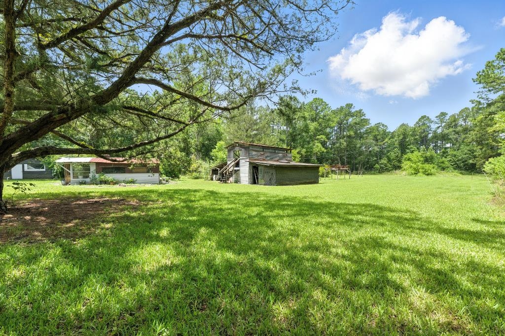 1637 Starratt Road Jacksonville, FL 32218 - Photo 33 of 44 a backyard of a house with lots of green space