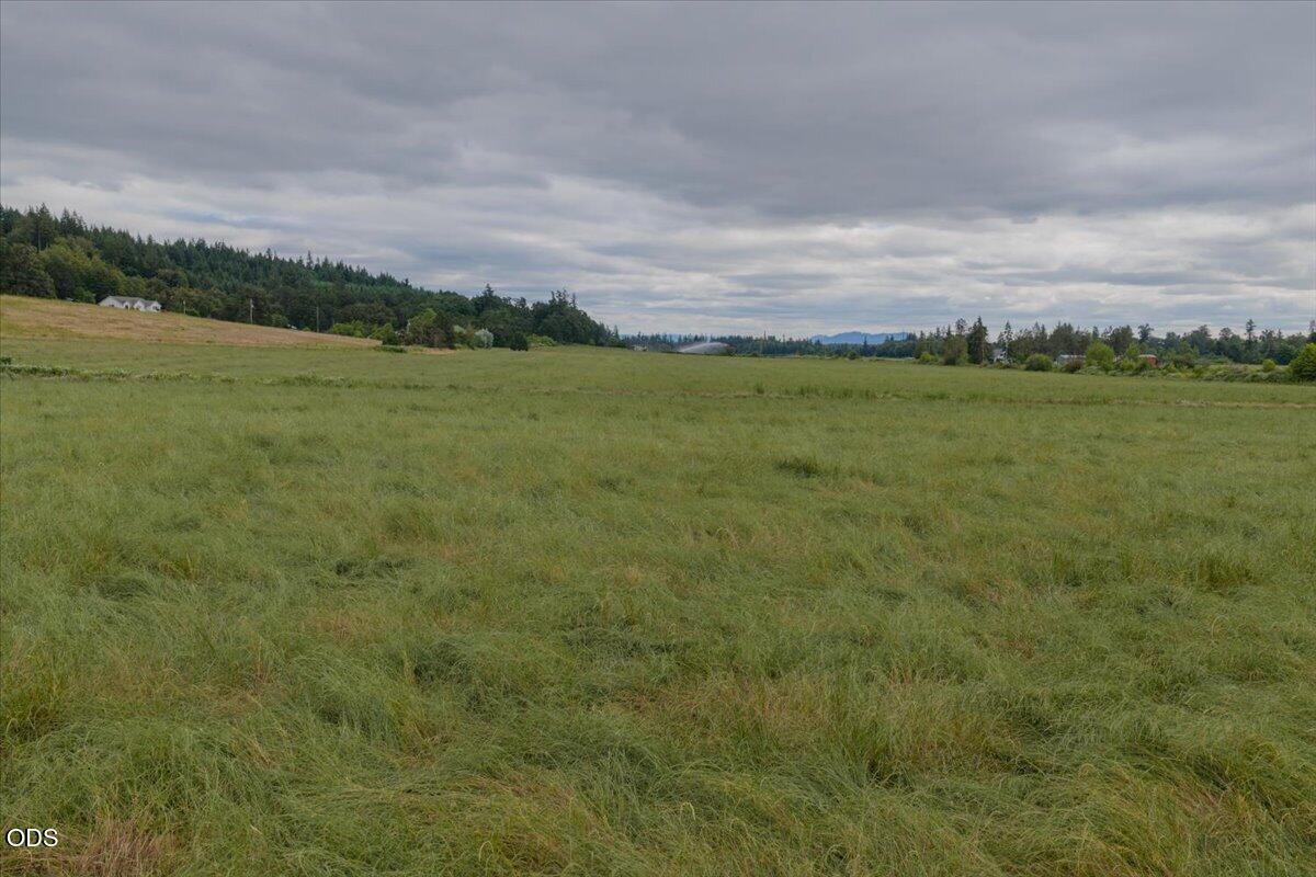 38289 South Ruby Loop Scio, OR 97374 - Photo 10 of 52