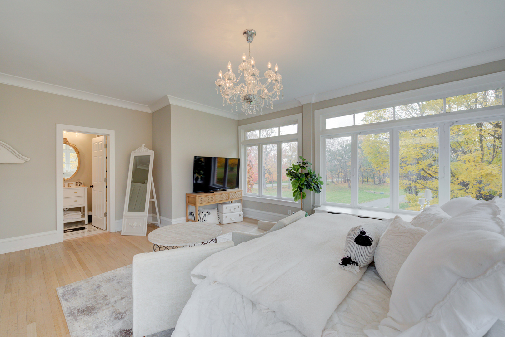 31W141 Army Trail Road Wayne, IL 60184 - Photo 30 of 63 a spacious bedroom with a bed and a large window