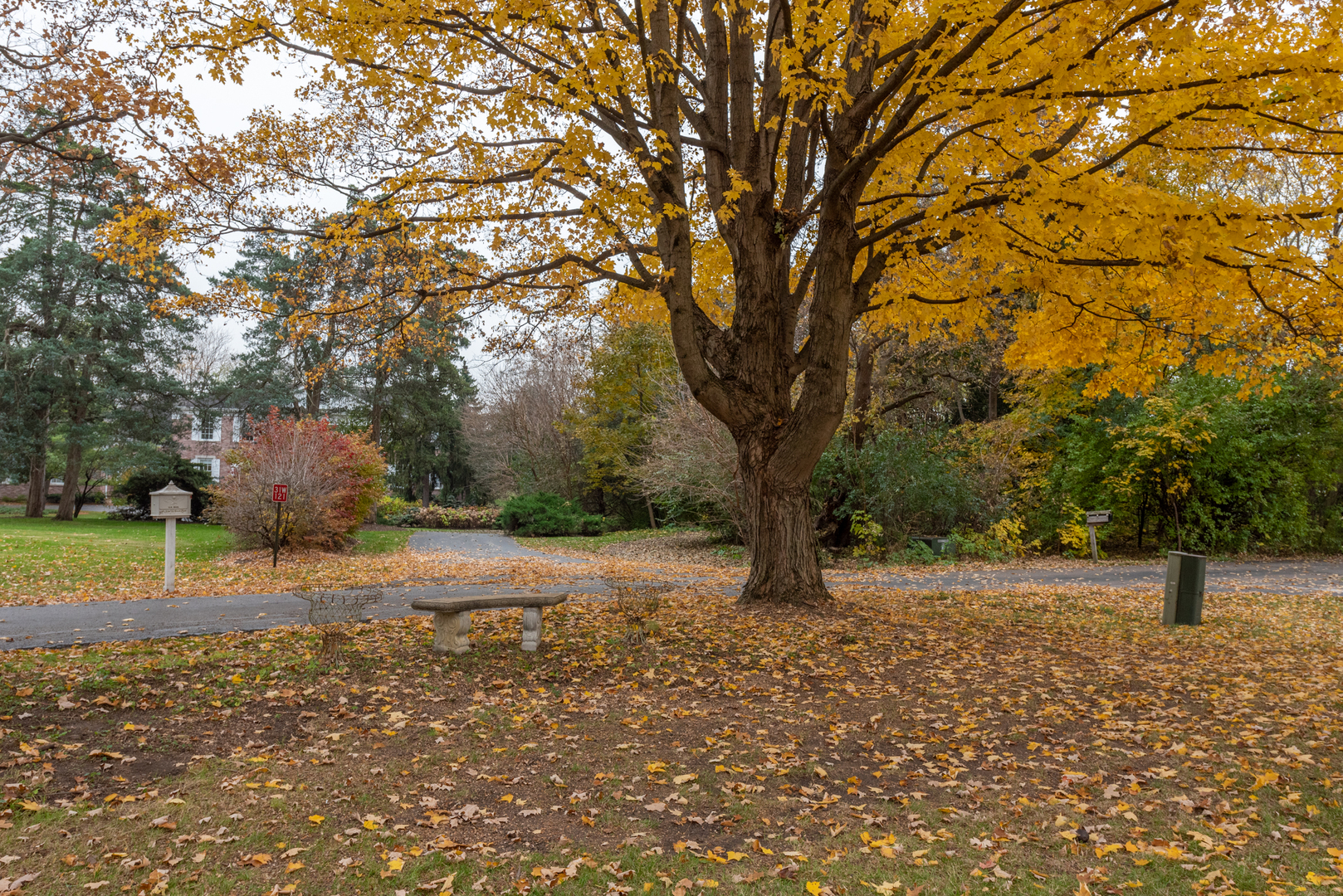 31W141 Army Trail Road Wayne, IL 60184 - Photo 63 of 63