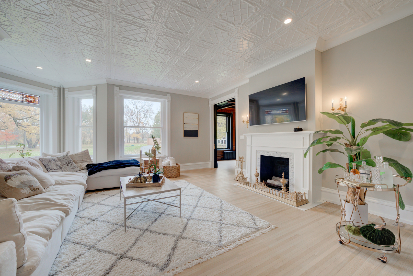 31W141 Army Trail Road Wayne, IL 60184 - Photo 10 of 63 a living room with furniture a fireplace and a flat screen tv