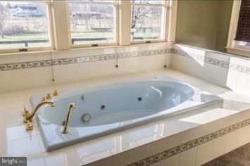 774 Russell Road Berryville, VA 22611 - Photo 11 of 20 Bath (Master)