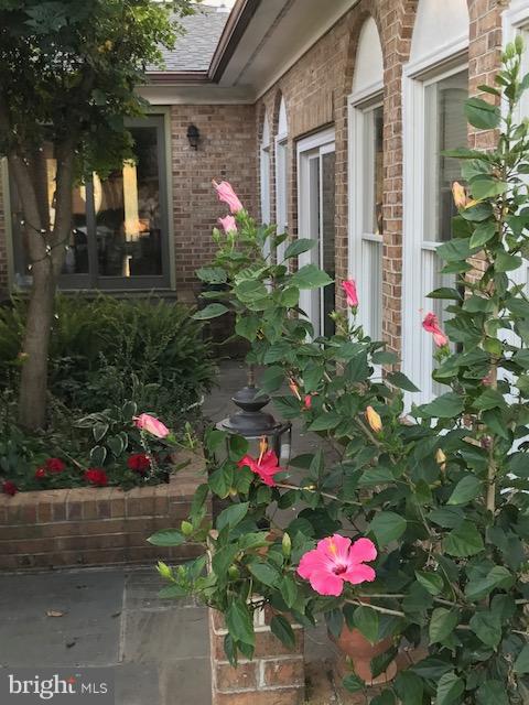 774 Russell Road Berryville, VA 22611 - Photo 19 of 20 Flowers by the Sunroom. Enjoy Mature Landscaping