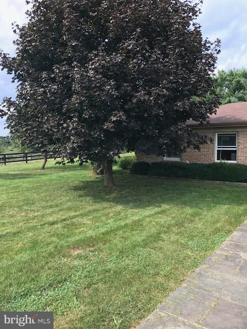 774 Russell Road Berryville, VA 22611 - Photo 20 of 20 Mature Landscaping