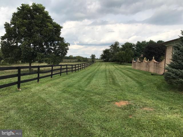 774 Russell Road Berryville, VA 22611 - Photo 3 of 20 Side yard next to Fenced Pasture