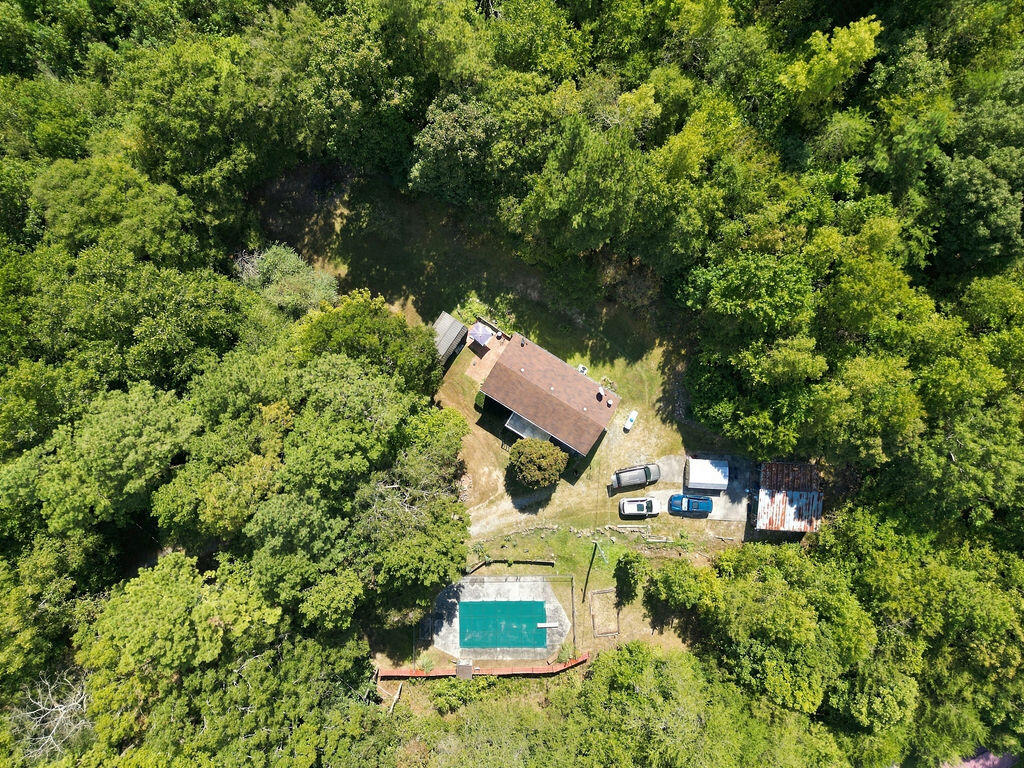 1254 Mahan Road Summerville, GA 30747 - Photo 43 of 50 Aerial 4