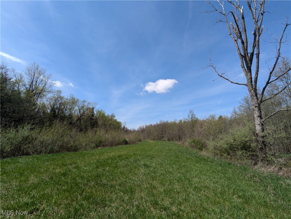 67739 Hendrysburg Freeport Road Barnesville, OH 43713 - Photo 10 of 26 Gallery Image 10
