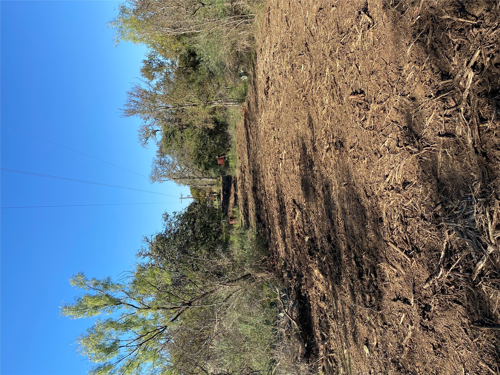 0 Ranch Road 2241 Tow, TX 78672 - Photo 33 of 33 A cleared path awaits, surrounded by native flora under a vast sky.