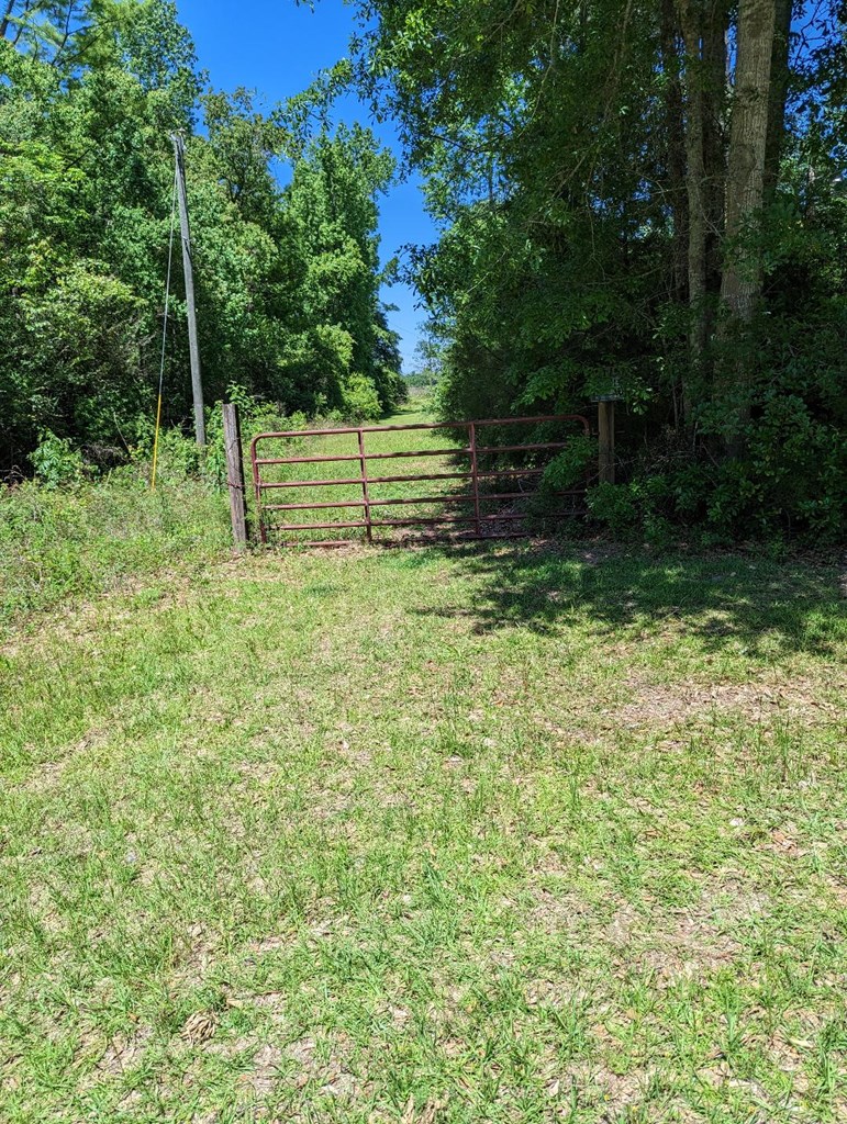 0 Ashford Road Ashford, AL 36312 - Photo 3 of 5 Gallery Image 3