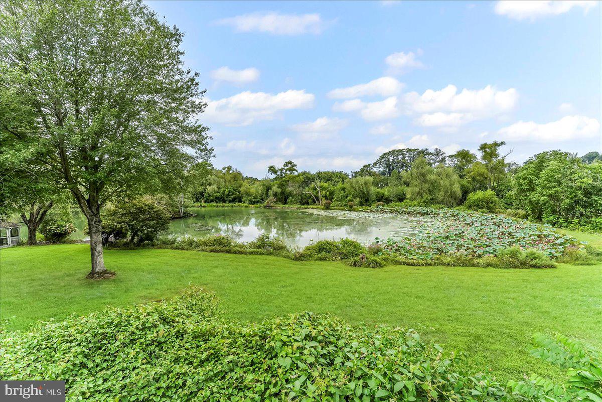 1015 Lambourne Road West Chester, PA 19382 - Photo 57 of 69 Back yard and pond view