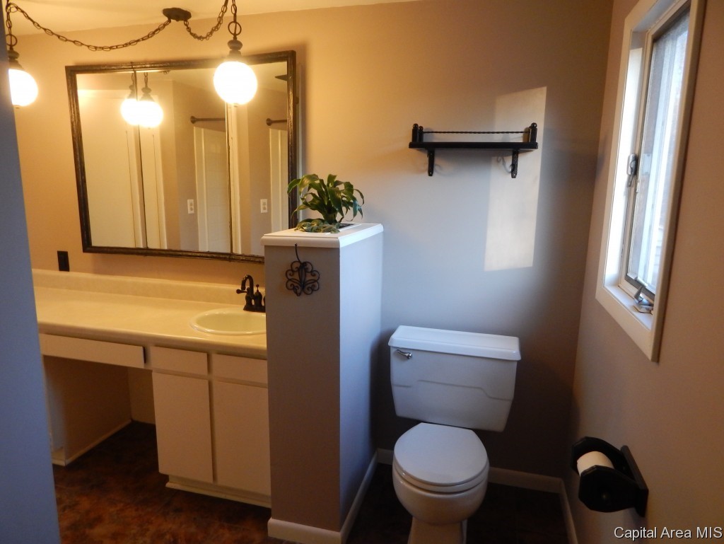 1508 South 2nd Springfield, IL 62704 - Photo 10 of 16