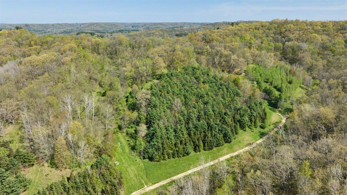 70-ac Harris Road La Farge, WI 54639 - Photo 2 of 67 Gallery Image 2