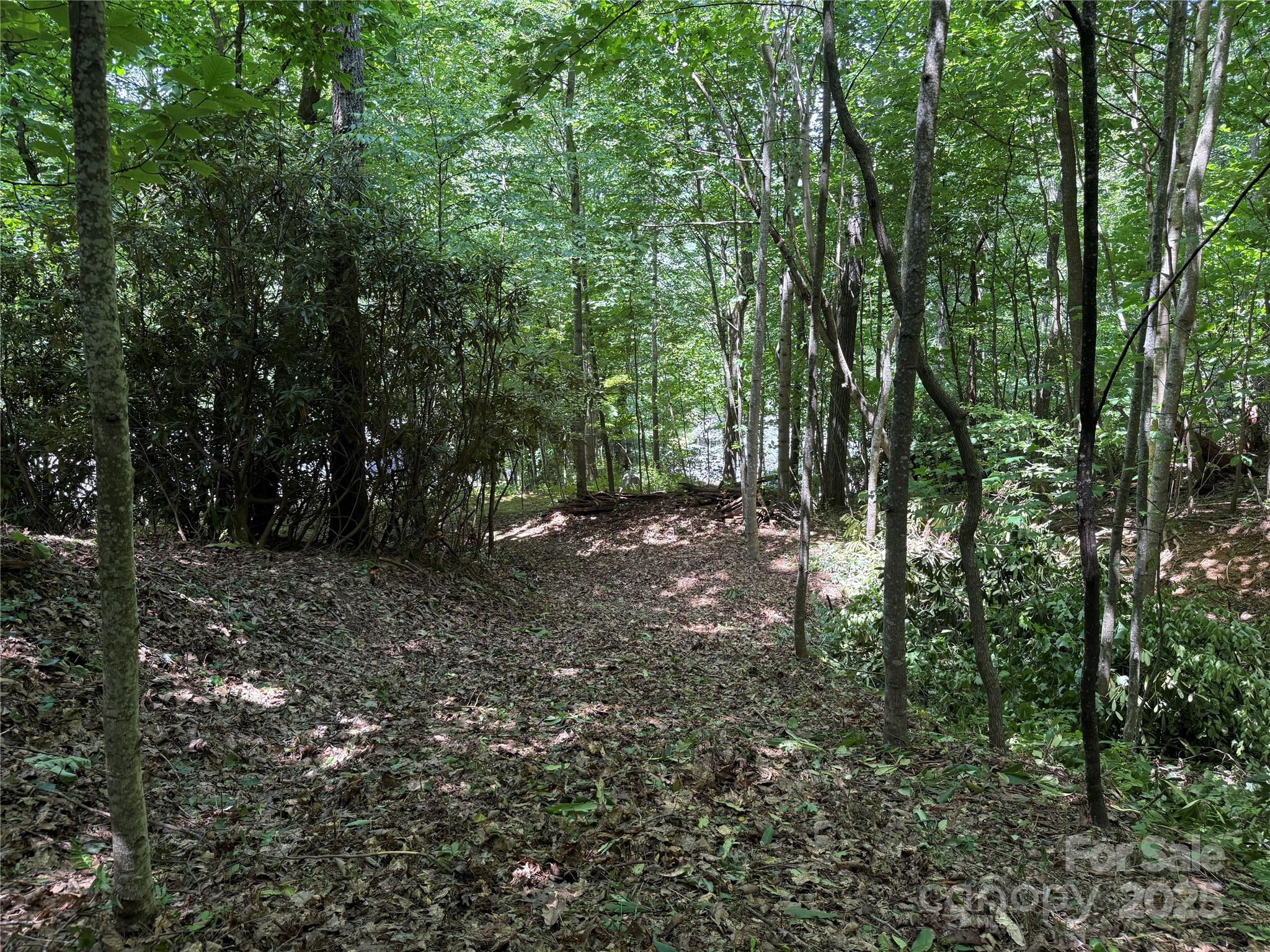 25 Fairview Pointe Drive Fairview, NC 28730 - Photo 5 of 8