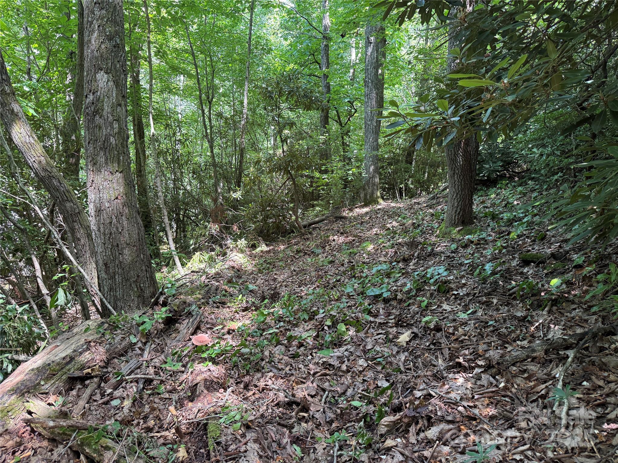 25 Fairview Pointe Drive Fairview, NC 28730 - Photo 6 of 8