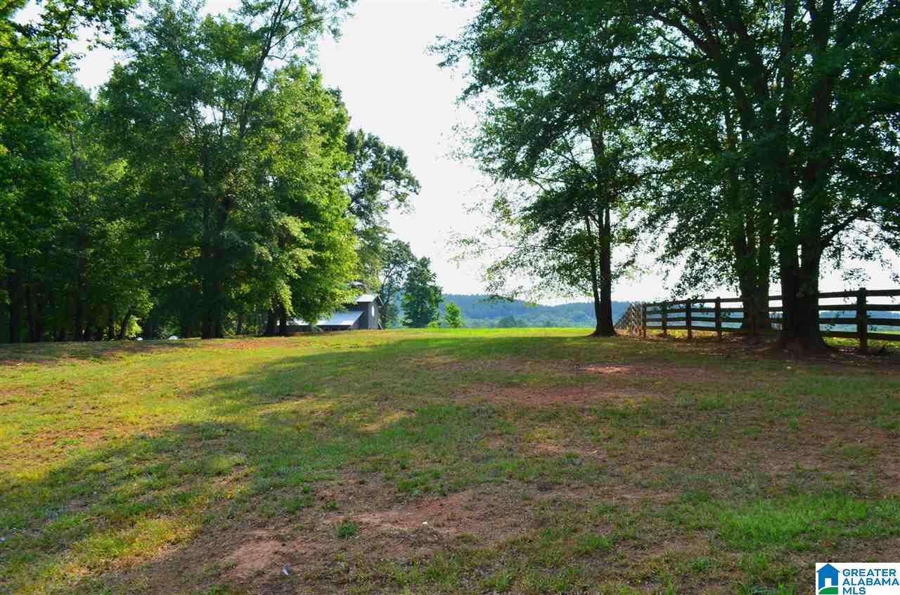 4683 Mcgowans Ferry Road Childersburg, AL 35044 - Photo 46 of 46