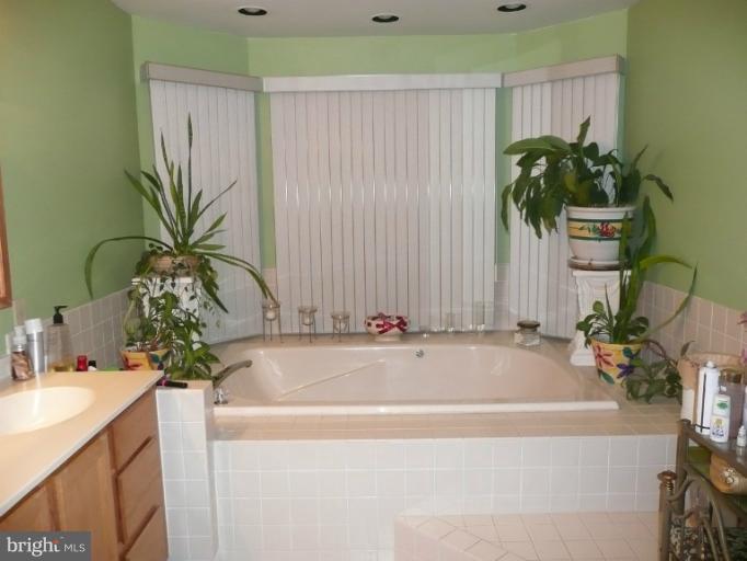 381 Valley Stream Road Severna Park, MD 21146 - Photo 21 of 22 Bath (Master)