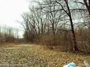 Vacant West Newburg Road Carleton, MI 48117 - Photo 3 of 4 3