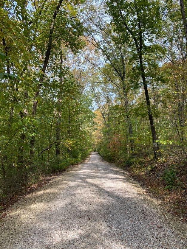 724 Fridenmaker Road Wellston, OH 45692 - Photo 98 of 102