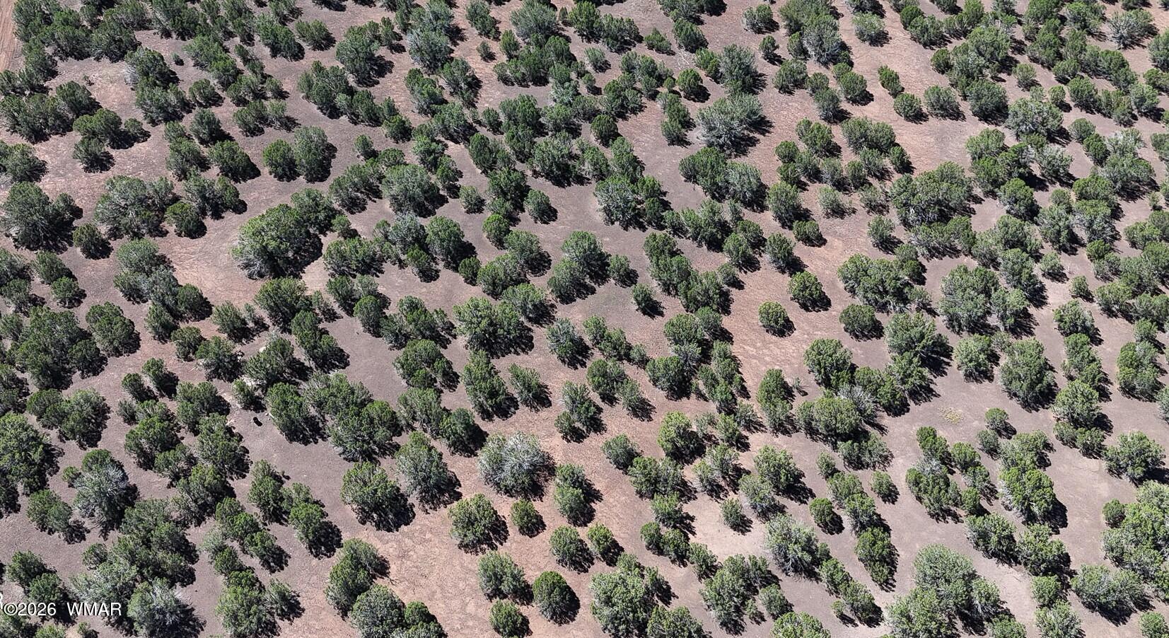 1235 Baha Road Show Low, AZ 85901 - Photo 10 of 10 20240905150720289071000000-o