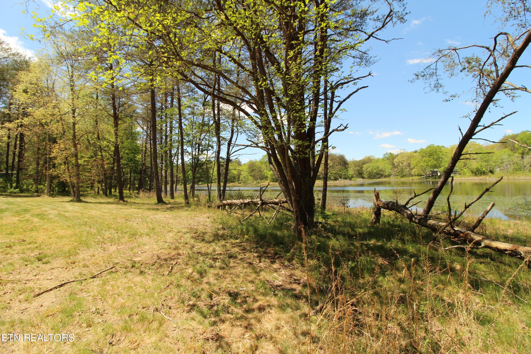 165 Cherokee Road Crossville, TN 38572 - Photo 5 of 12