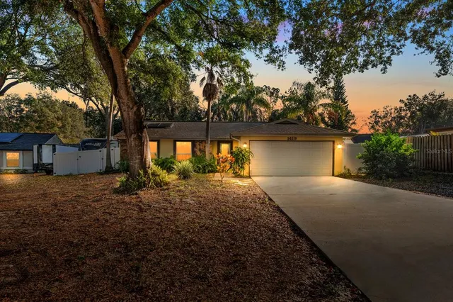 a view of backyard of house with green space