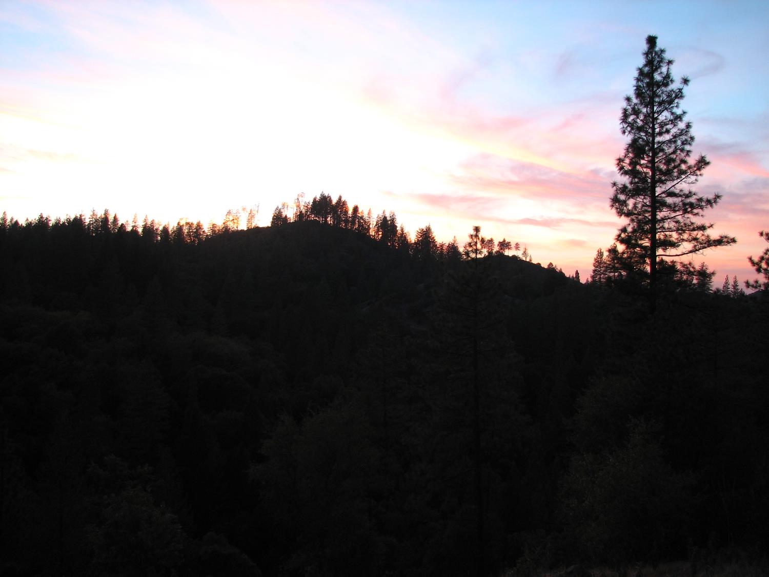 15891 Shake Ridge Road Sutter Creek, CA 95685 - Photo 13 of 47