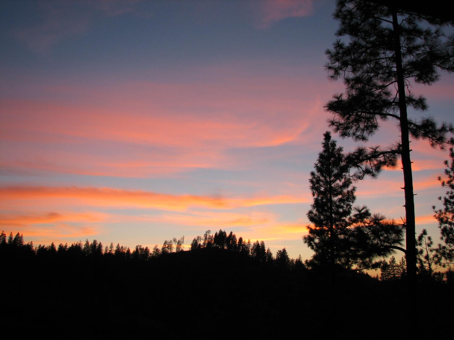 15891 Shake Ridge Road Sutter Creek, CA 95685 - Photo 16 of 47