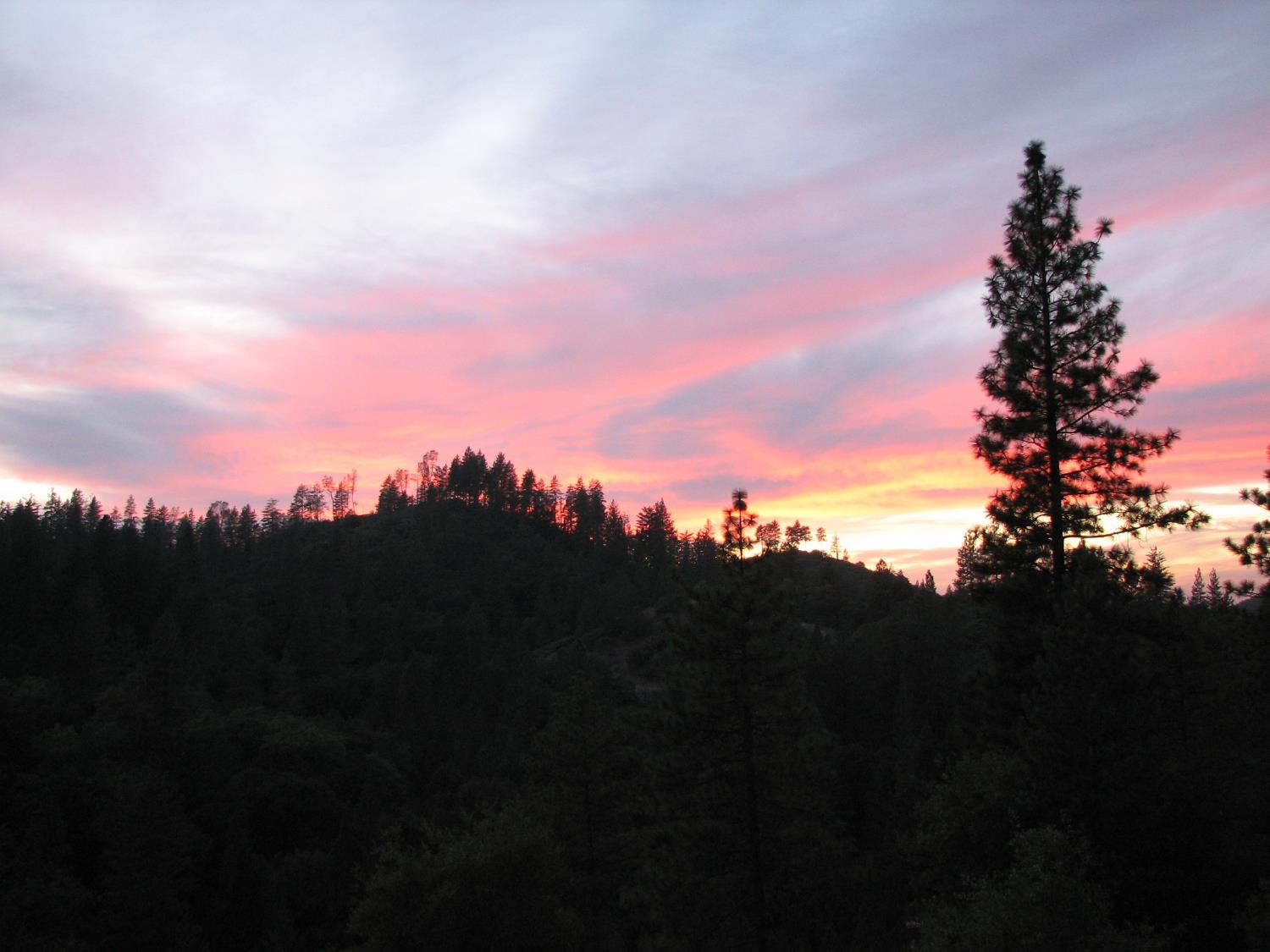 15891 Shake Ridge Road Sutter Creek, CA 95685 - Photo 17 of 47