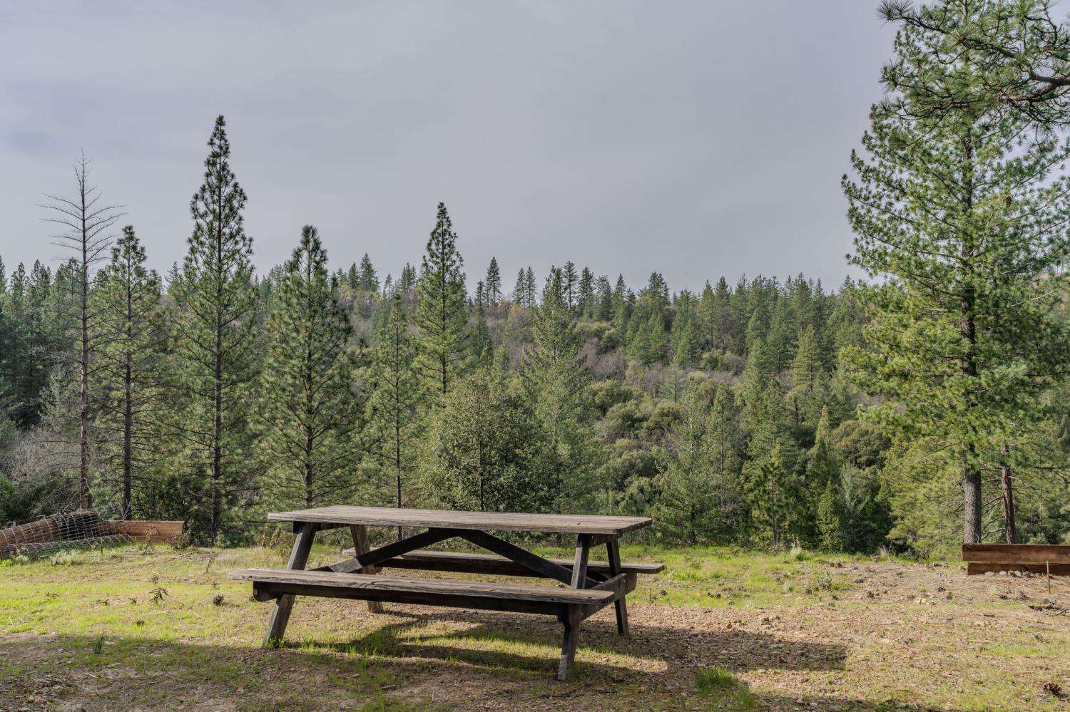 15891 Shake Ridge Road Sutter Creek, CA 95685 - Photo 23 of 46