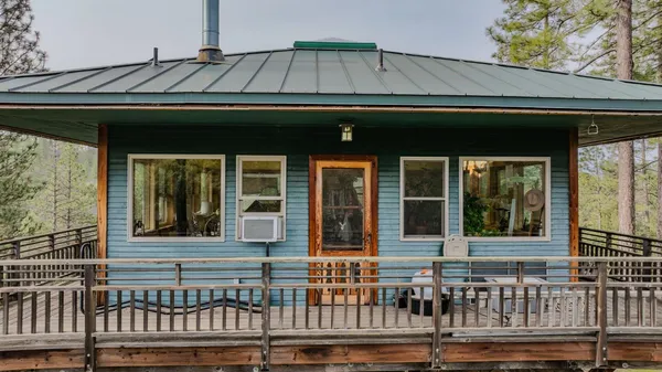 a view of a forest with a street