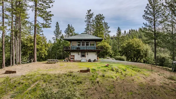 a view of a forest with a street