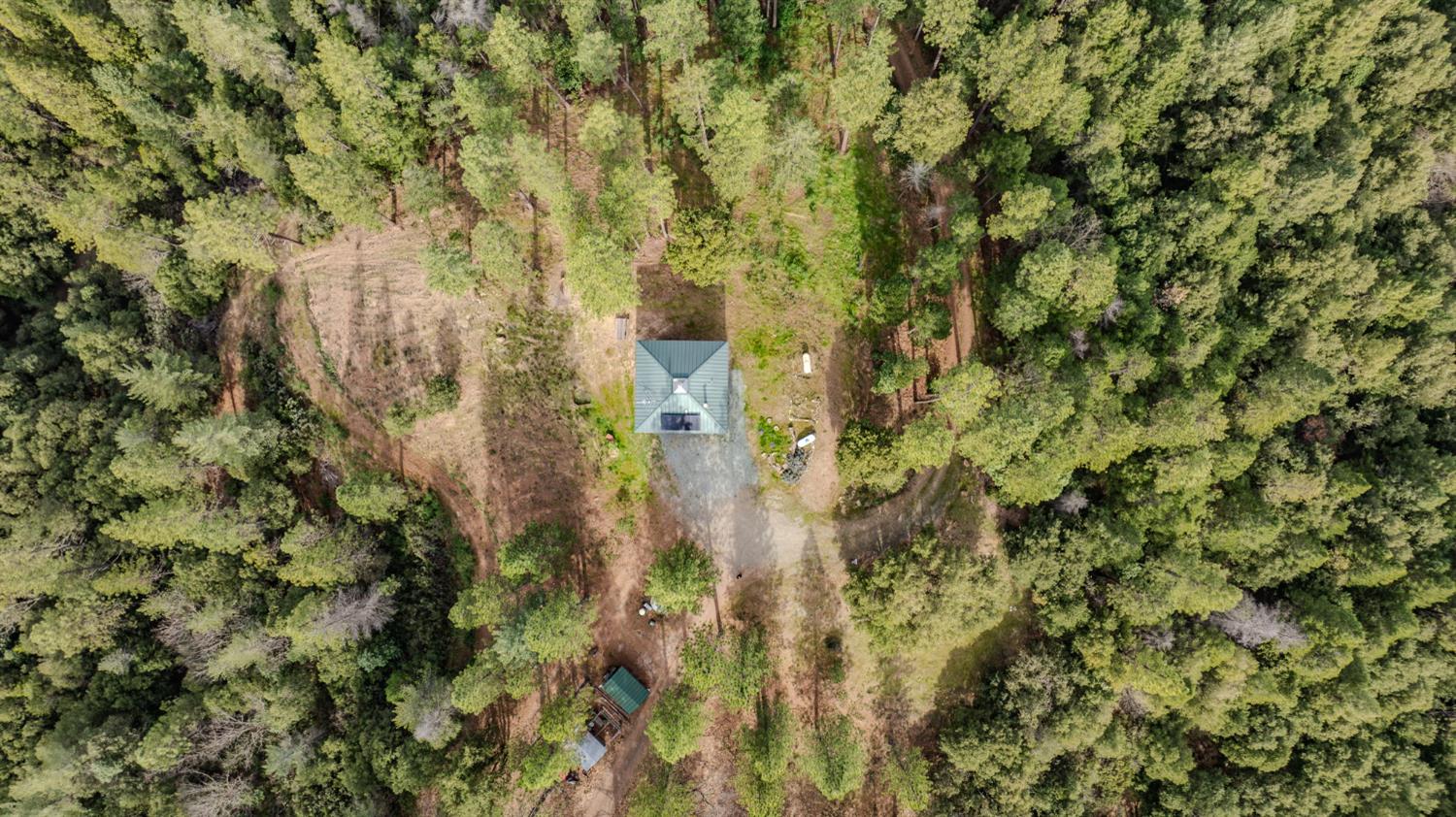 15891 Shake Ridge Road Sutter Creek, CA 95685 - Photo 35 of 46