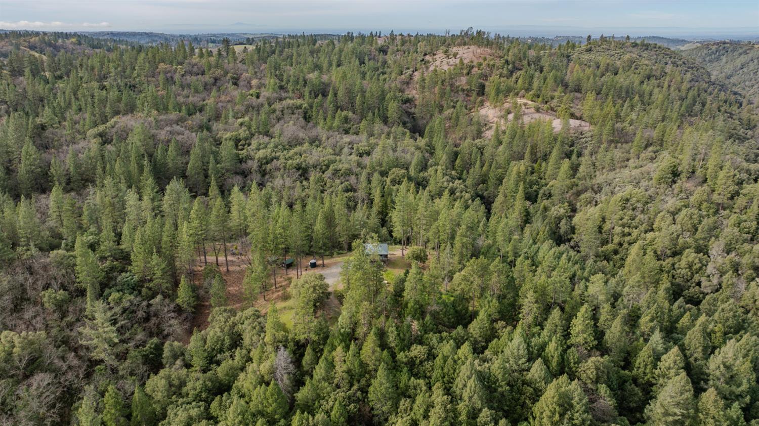 15891 Shake Ridge Road Sutter Creek, CA 95685 - Photo 38 of 46