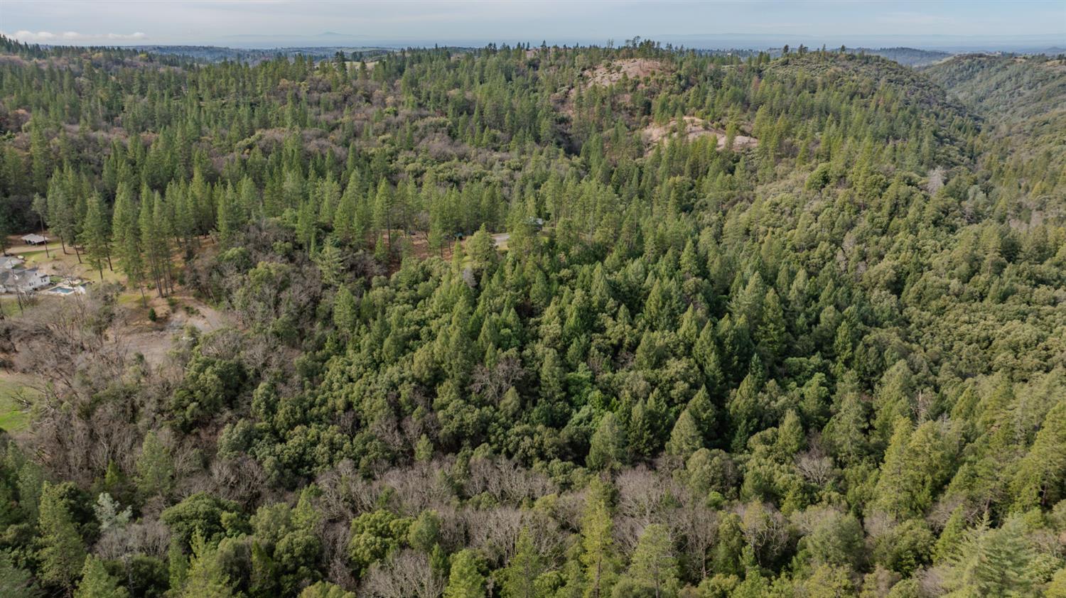 15891 Shake Ridge Road Sutter Creek, CA 95685 - Photo 39 of 46