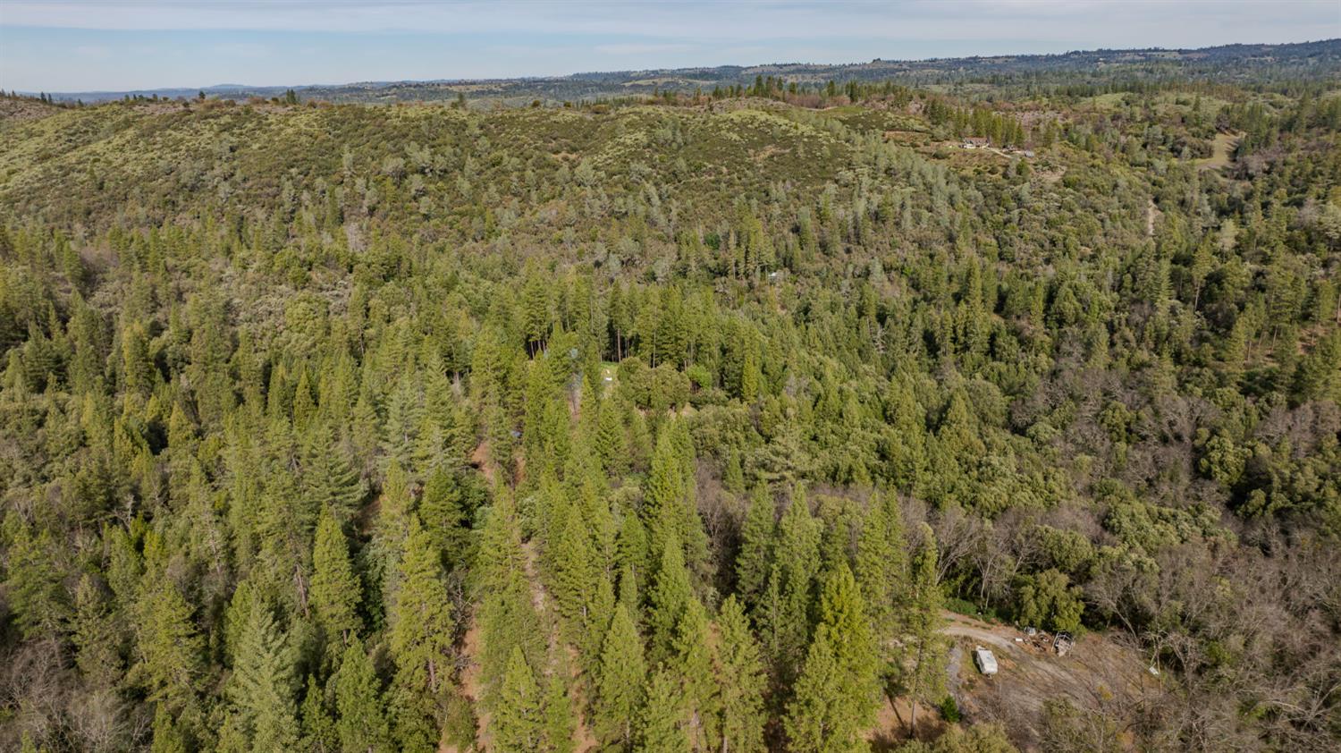 15891 Shake Ridge Road Sutter Creek, CA 95685 - Photo 43 of 46