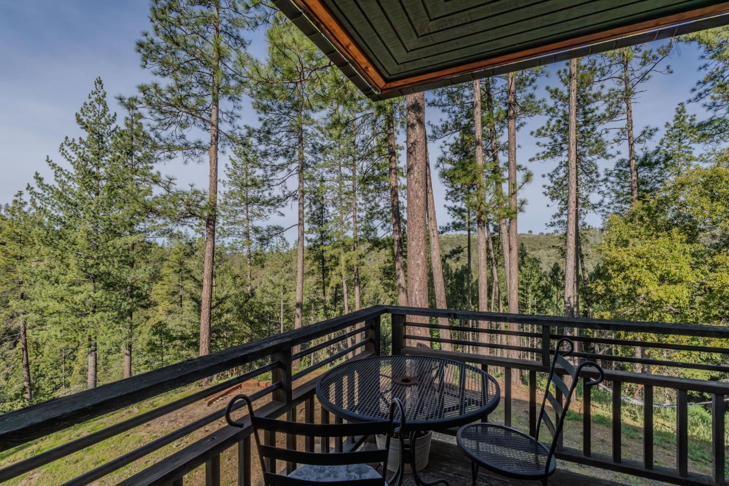 15891 Shake Ridge Road Sutter Creek, CA 95685 - Photo 45 of 46