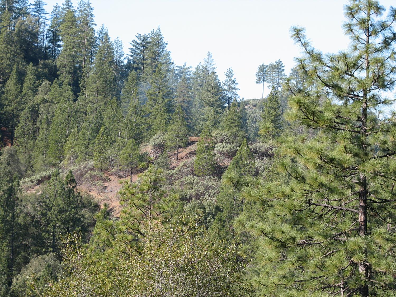 15891 Shake Ridge Road Sutter Creek, CA 95685 - Photo 6 of 47