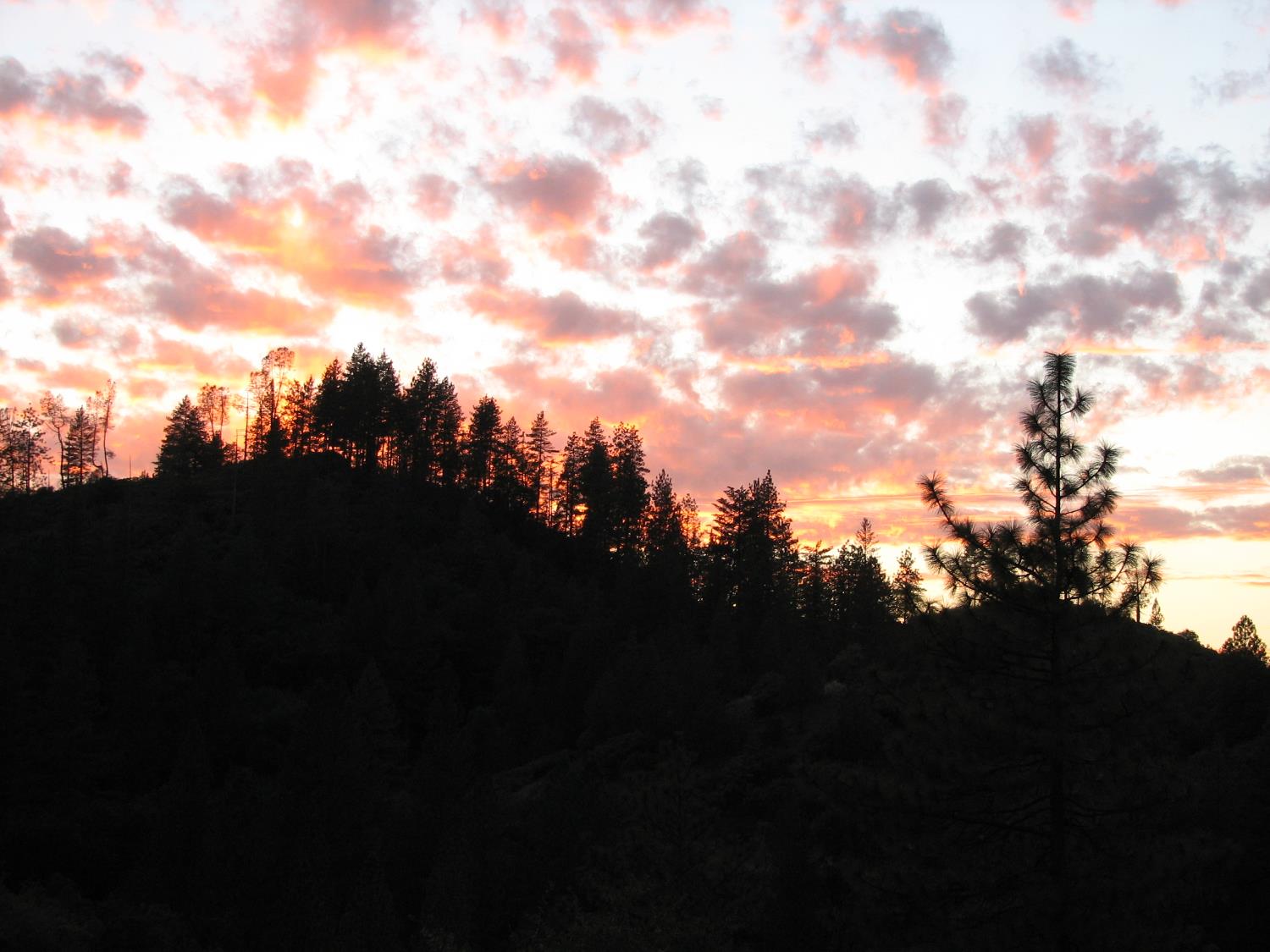 15891 Shake Ridge Road Sutter Creek, CA 95685 - Photo 7 of 46