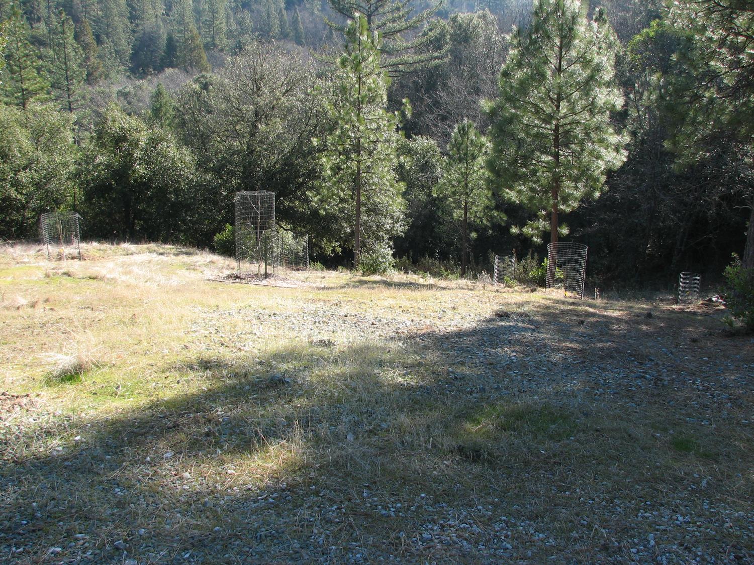 15891 Shake Ridge Road Sutter Creek, CA 95685 - Photo 8 of 47