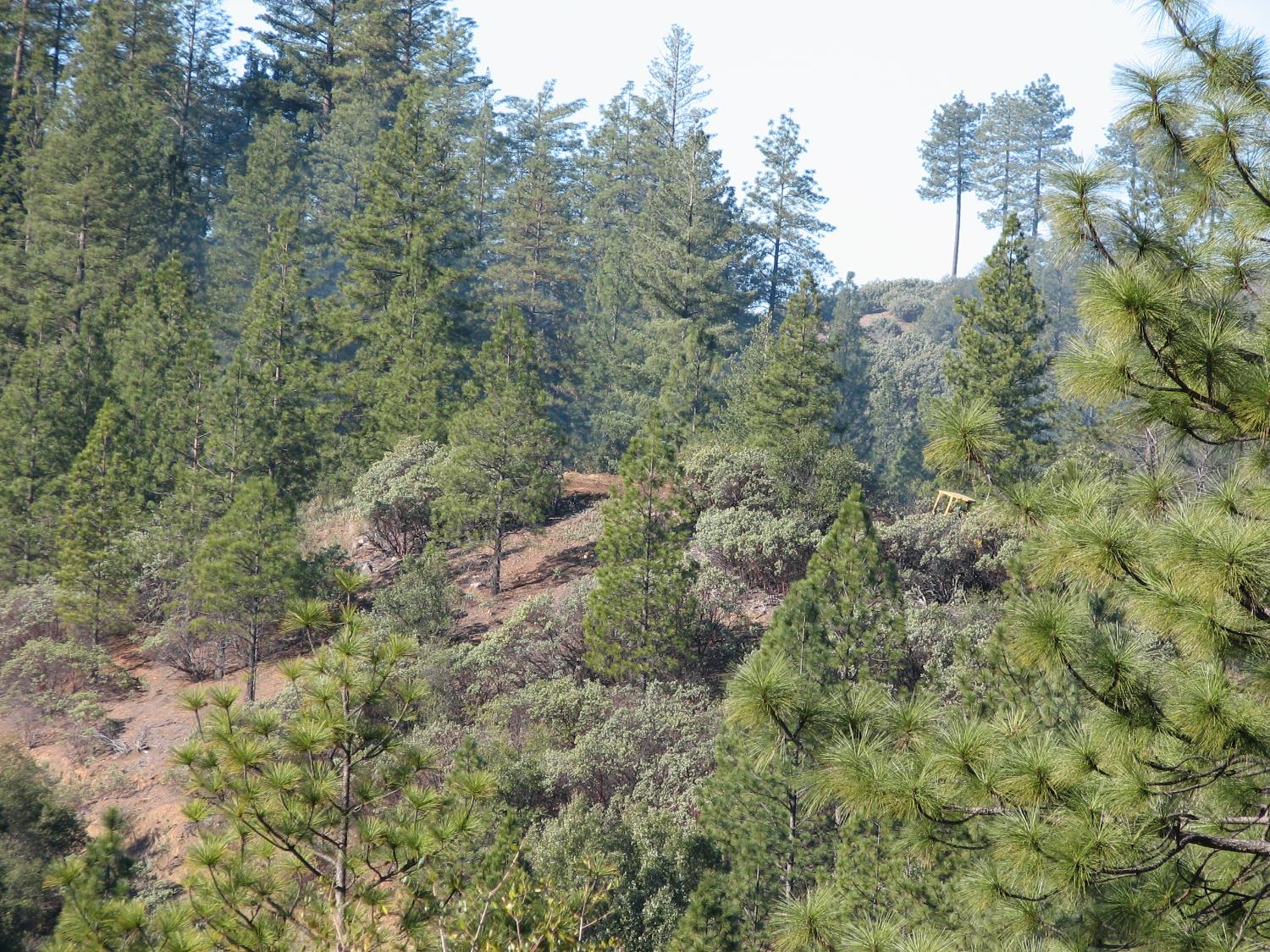 15891 Shake Ridge Road Sutter Creek, CA 95685 - Photo 10 of 47