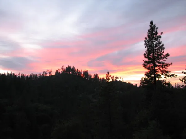 a view of a large building