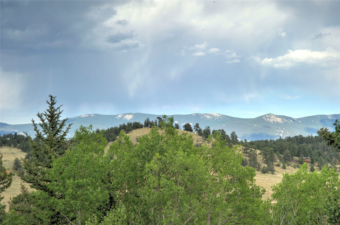 609 Buffalo Ridge Road Como, CO 80432 - Photo 14 of 40 Gallery Image 14