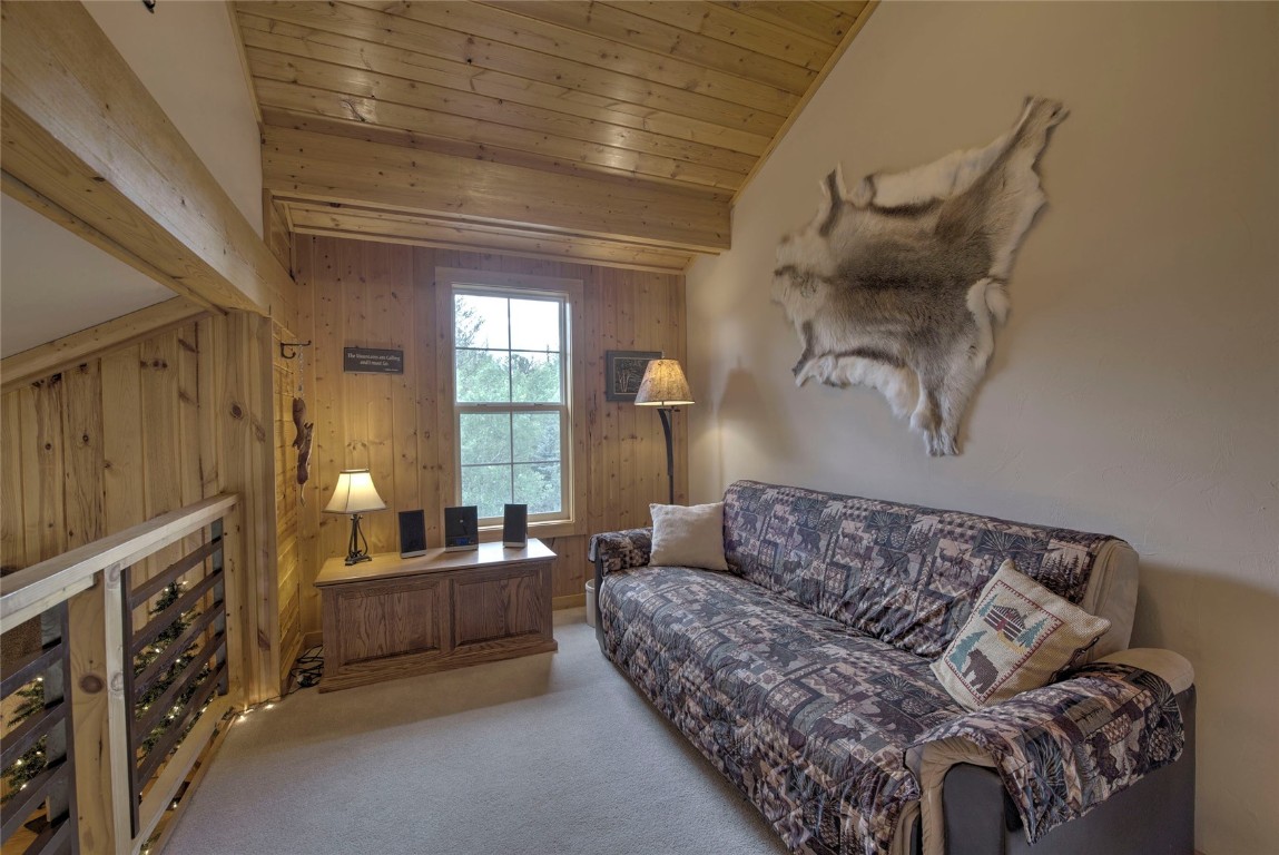 609 Buffalo Ridge Road Como, CO 80432 - Photo 23 of 40 Gallery Image 23