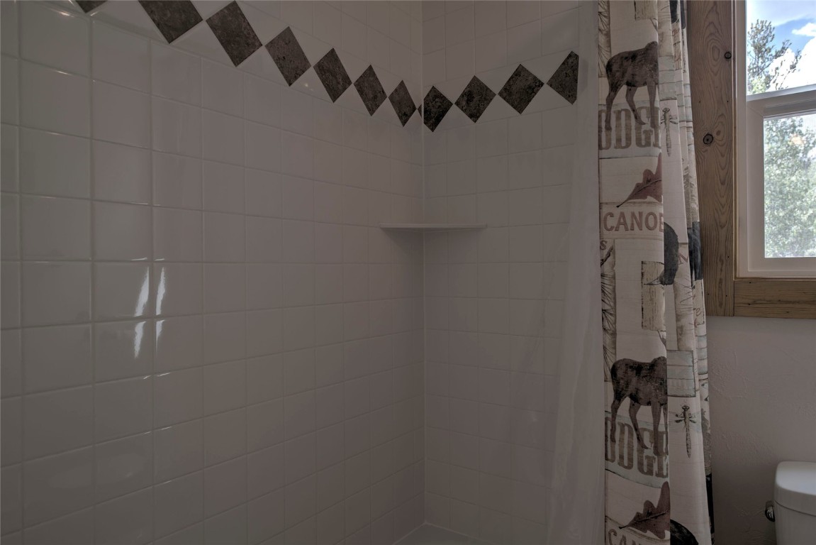 609 Buffalo Ridge Road Como, CO 80432 - Photo 28 of 40 Gallery Image 28