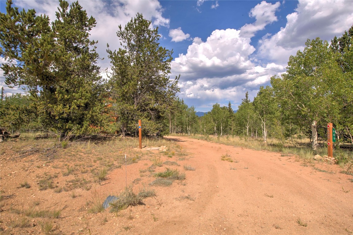 609 Buffalo Ridge Road Como, CO 80432 - Photo 36 of 40 Gallery Image 36