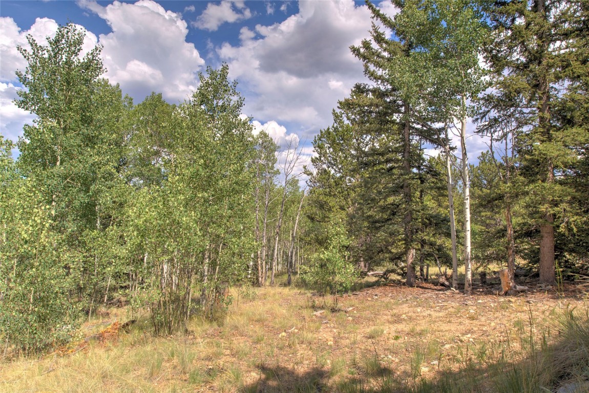 609 Buffalo Ridge Road Como, CO 80432 - Photo 37 of 40 Gallery Image 37