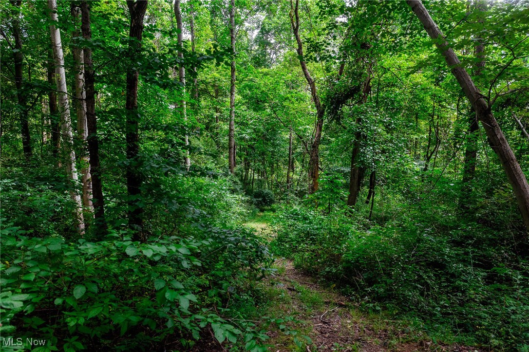 Harrons Ridge Road Dexter City, OH 45727 - Photo 25 of 50 View of woods