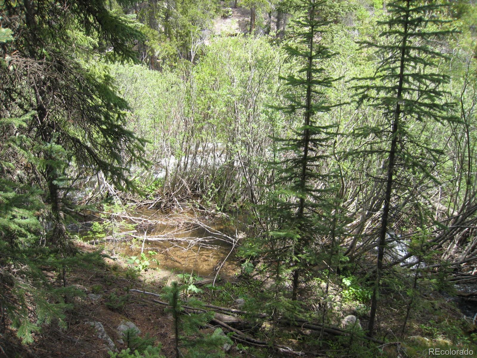 1 Rainbow Road Idaho Springs, CO 80452 - Photo 16 of 40 Gallery Image 16