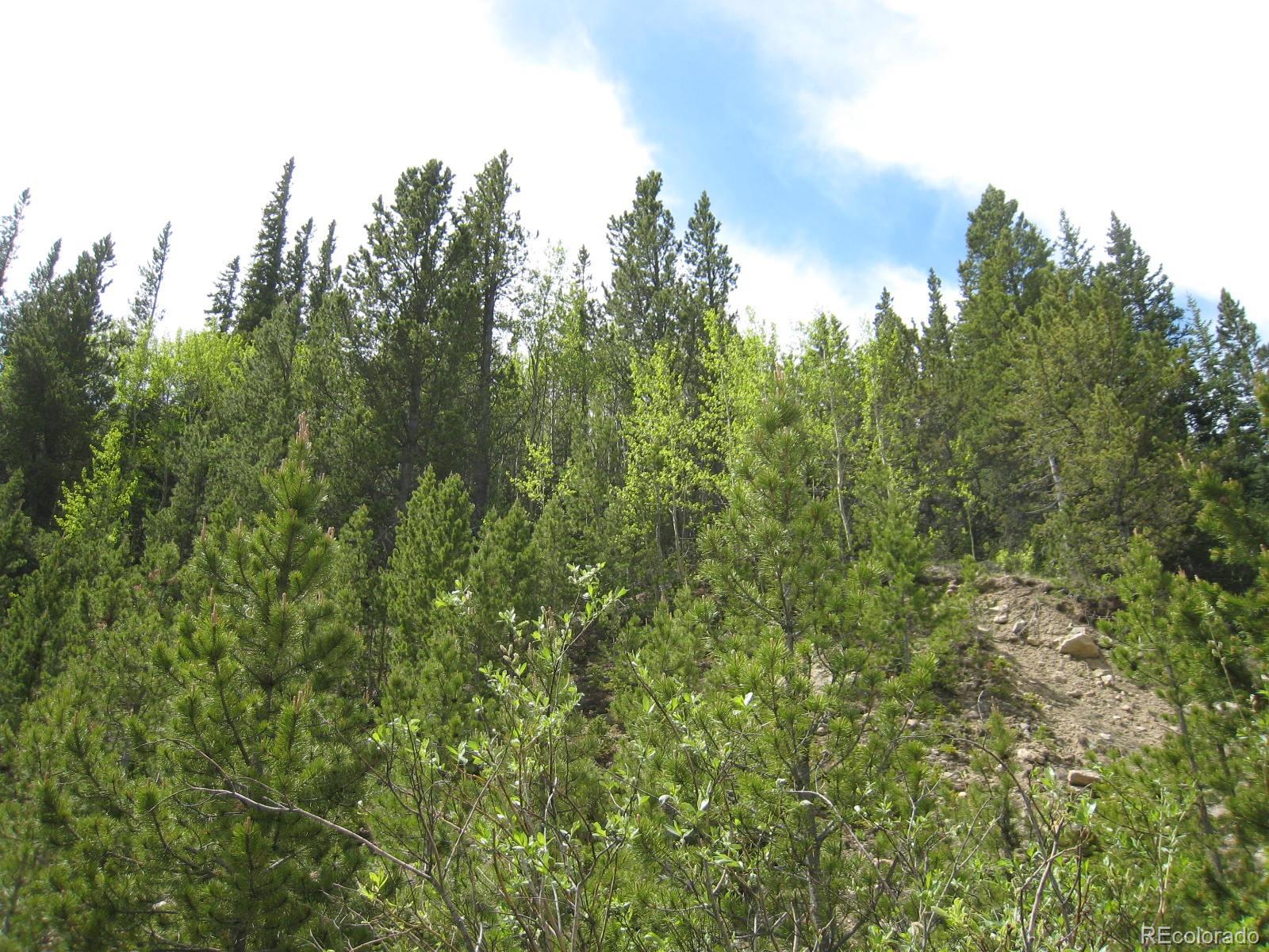 1 Rainbow Road Idaho Springs, CO 80452 - Photo 18 of 40 Gallery Image 18